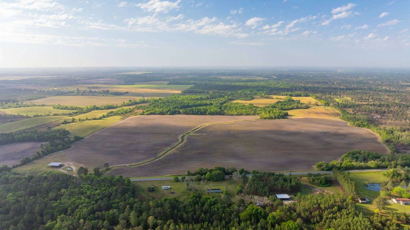 258 Acres of Land for Sale in Oakfield, Georgia
