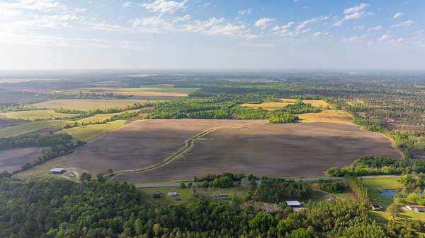 258 Acres of Land for Sale in Oakfield, Georgia