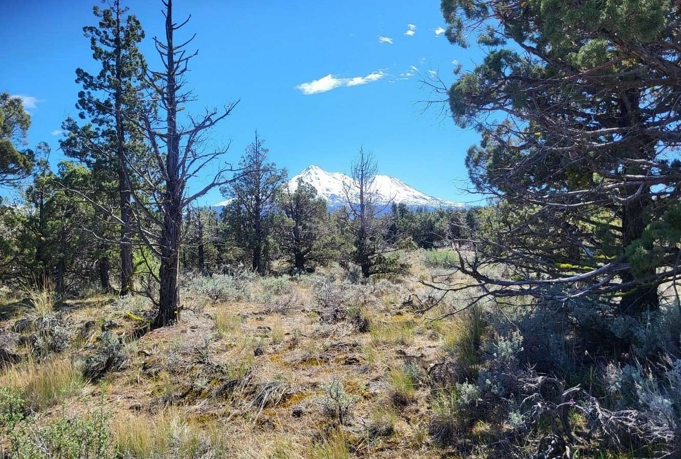 2.5 Acres of Land for Sale in Montague, California