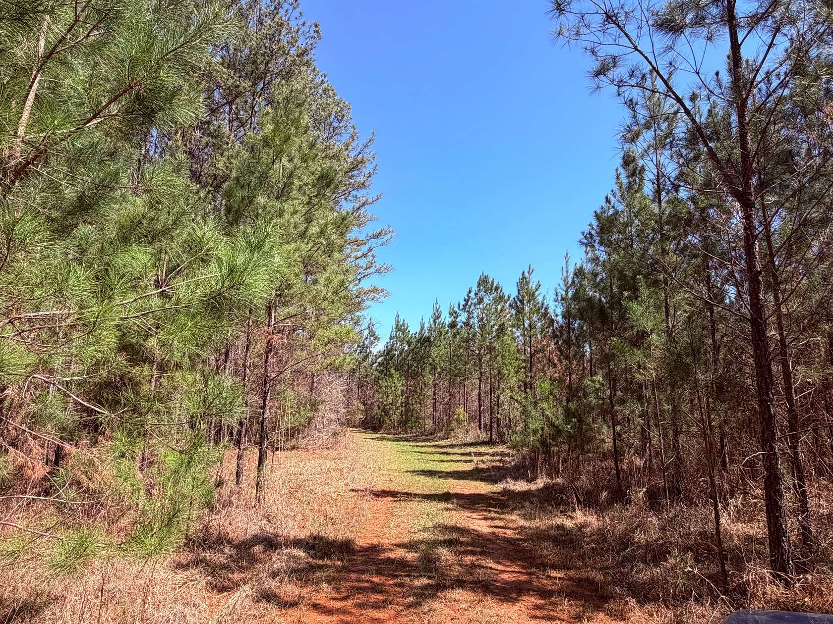 221 Acres of Recreational Land for Sale in Sparta, Georgia
