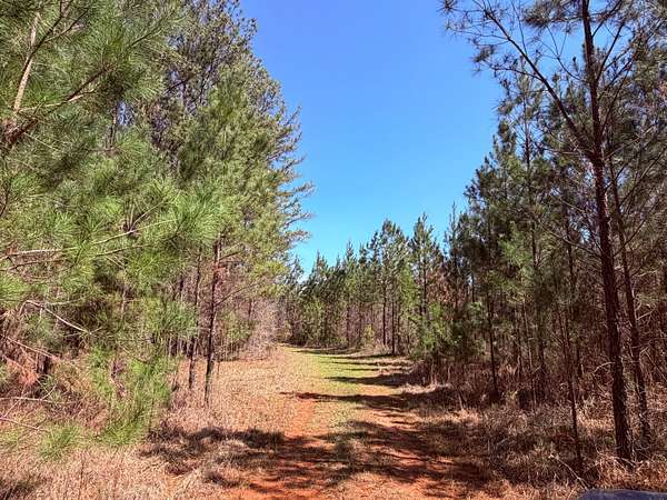 221 Acres of Recreational Land for Sale in Sparta, Georgia