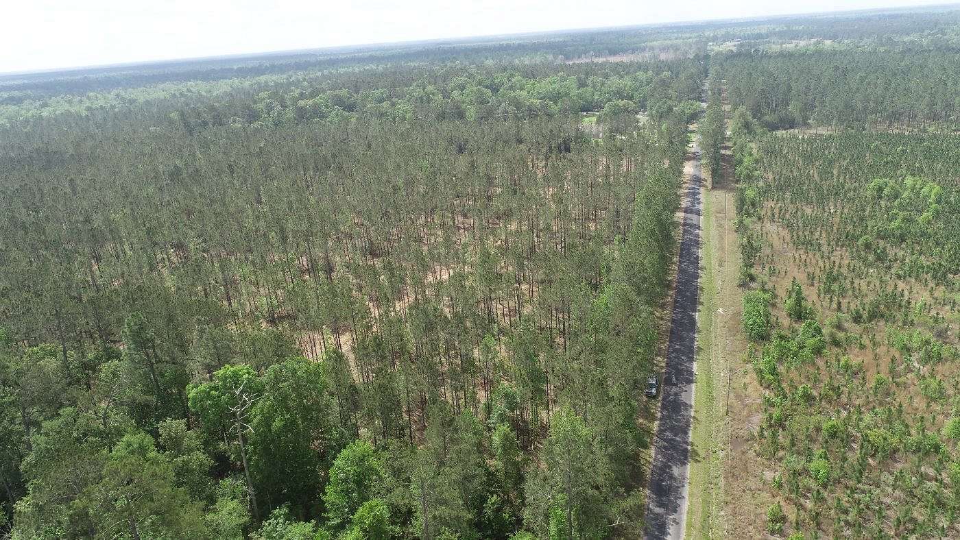 79 Acres of Recreational Land for Sale in DeQuincy, Louisiana