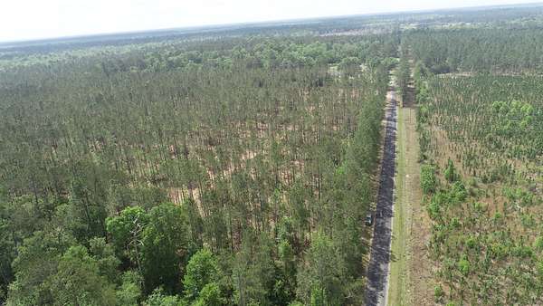 79 Acres of Recreational Land for Sale in DeQuincy, Louisiana