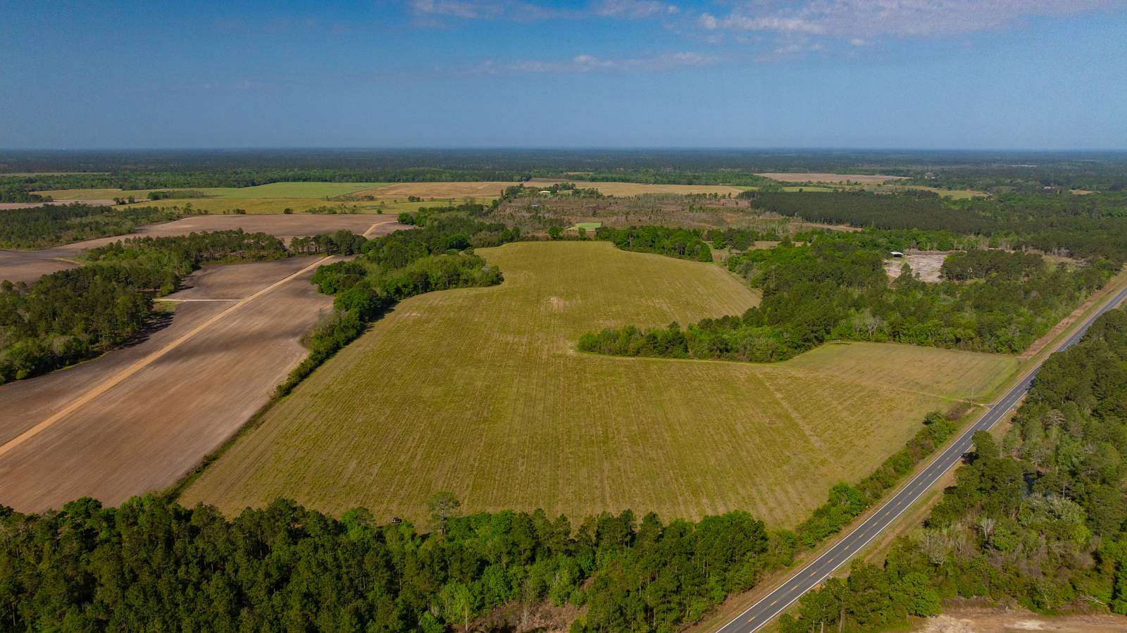 92.4 Acres of Recreational Land for Auction in Oakfield, Georgia