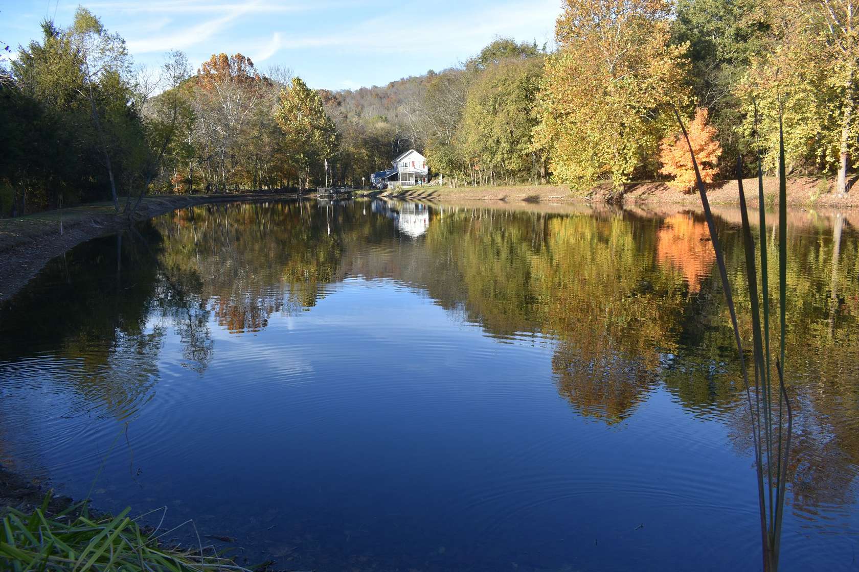 39.6 Acres of Land with Home for Auction in Gordonsville, Tennessee