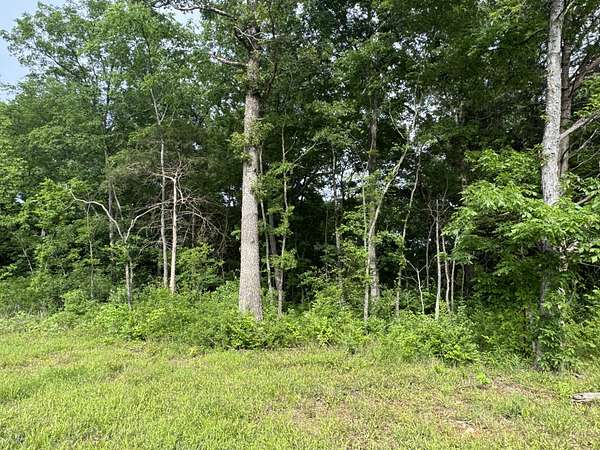 8.37 Acres of Residential Land for Sale in Shelbyville, Tennessee