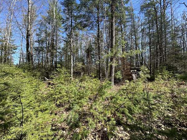 5 Acres of Residential Land for Sale in Fairview, Michigan