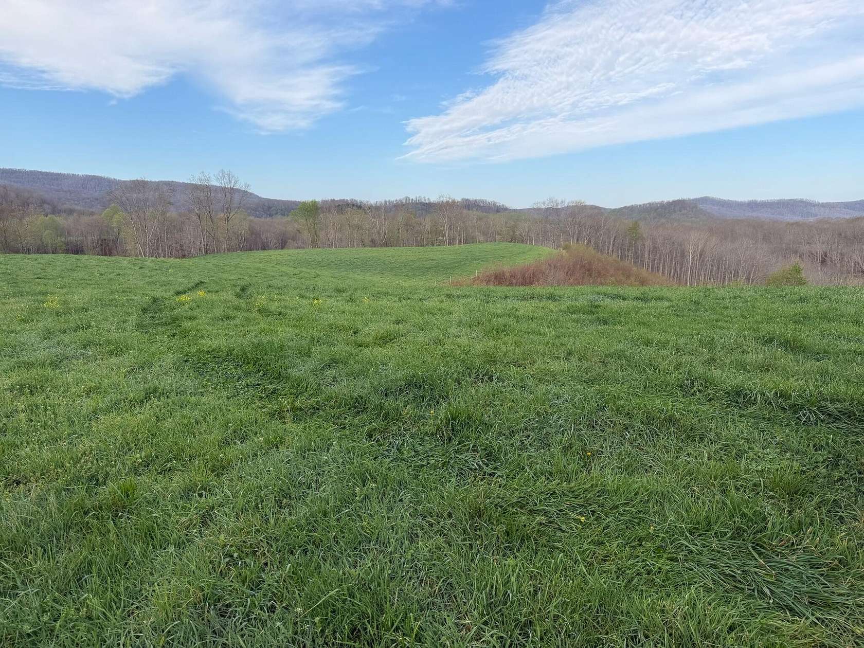 46.9 Acres of Agricultural Land for Sale in Alderson, West Virginia