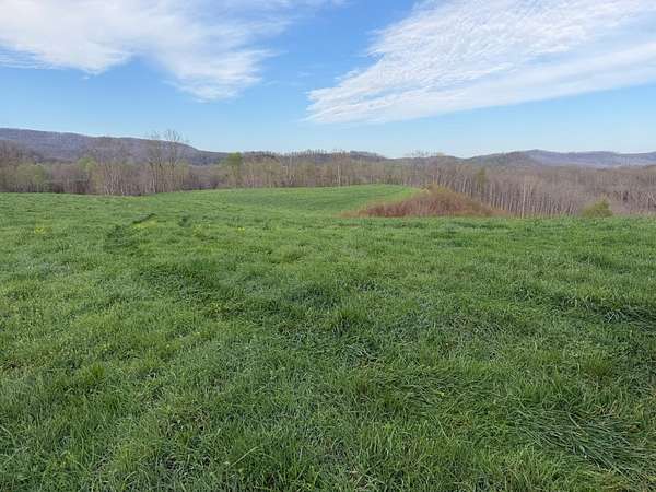 46.9 Acres of Agricultural Land for Sale in Alderson, West Virginia