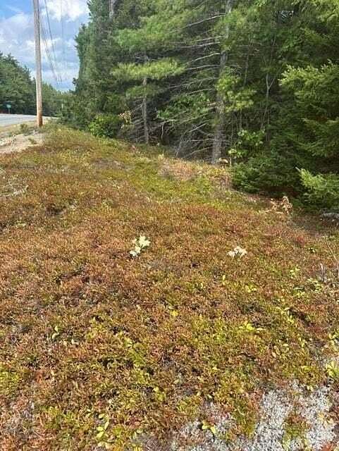 44 Acres of Recreational & Residential Land for Sale in Gouldsboro, Maine