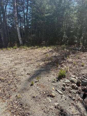 44 Acres of Recreational & Residential Land for Sale in Gouldsboro, Maine