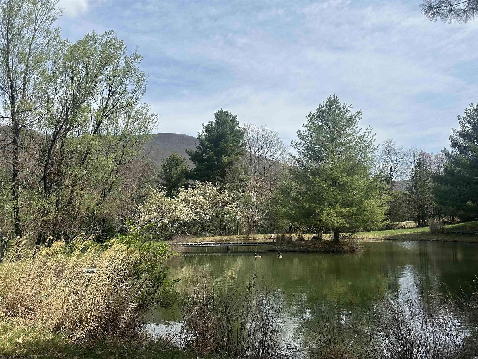 5.86 Acres of Residential Land for Sale in Red Creek, West Virginia