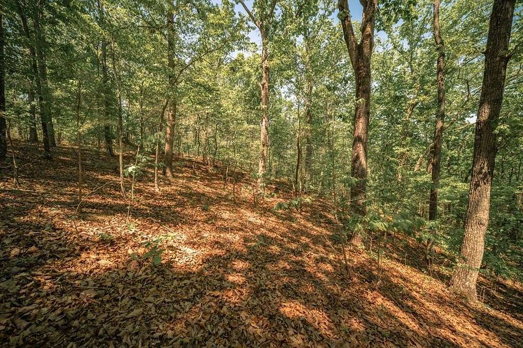 37.9 Acres of Land for Sale in Waleska, Georgia