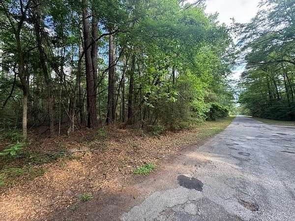0.25 Acres of Residential Land for Sale in Hemphill, Texas