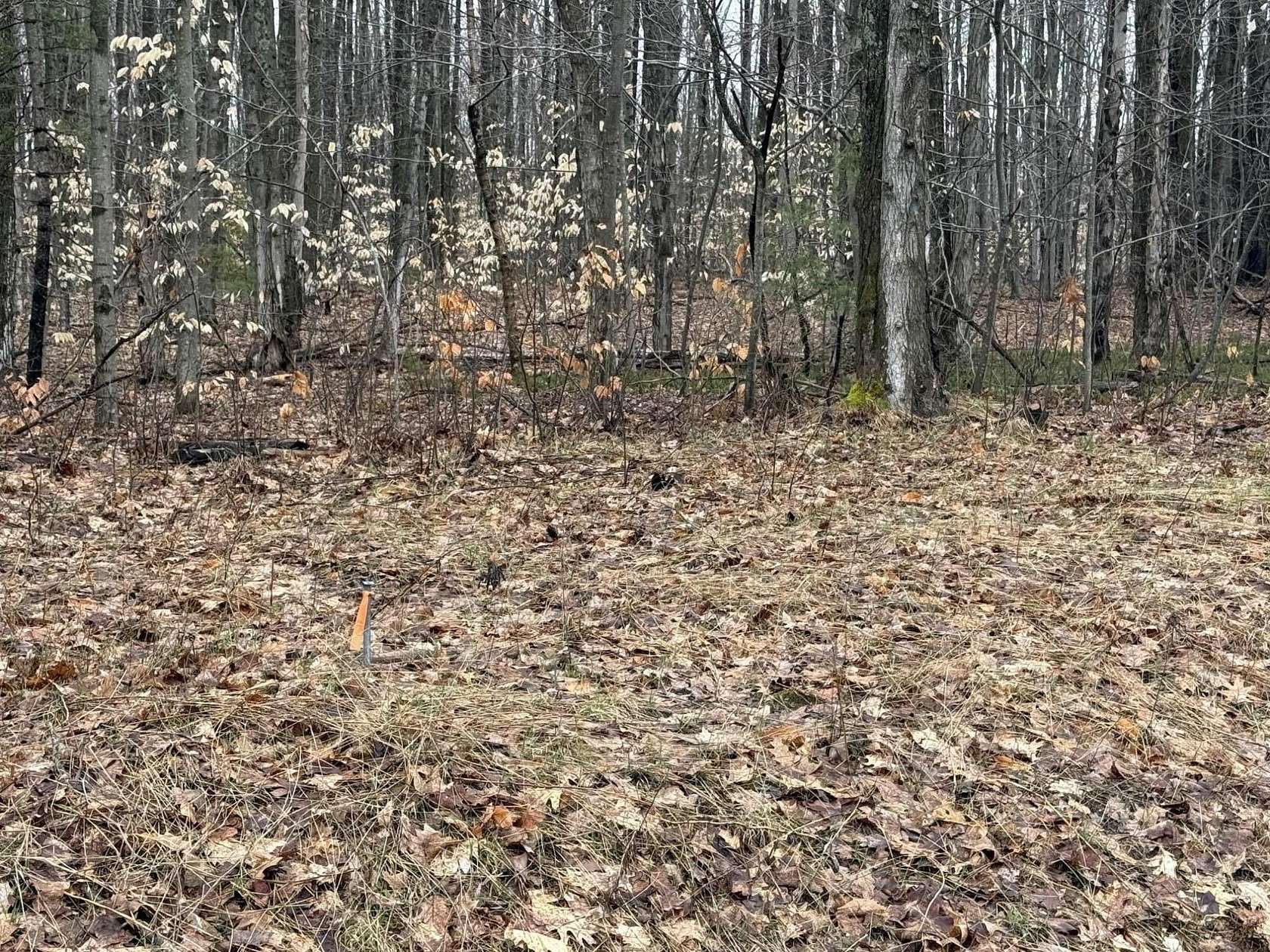 15 Acres of Recreational & Residential Land for Sale in Lake City, Michigan