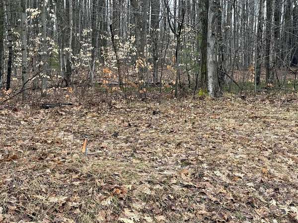 15 Acres of Recreational & Residential Land for Sale in Lake City, Michigan