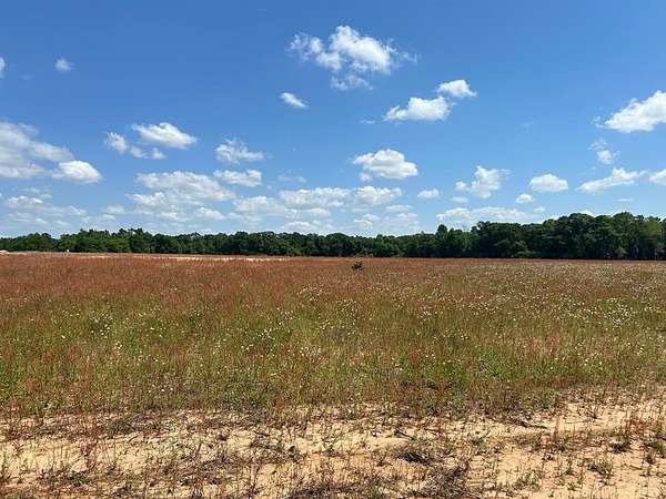 2.79 Acres of Residential Land for Sale in Slocomb, Alabama