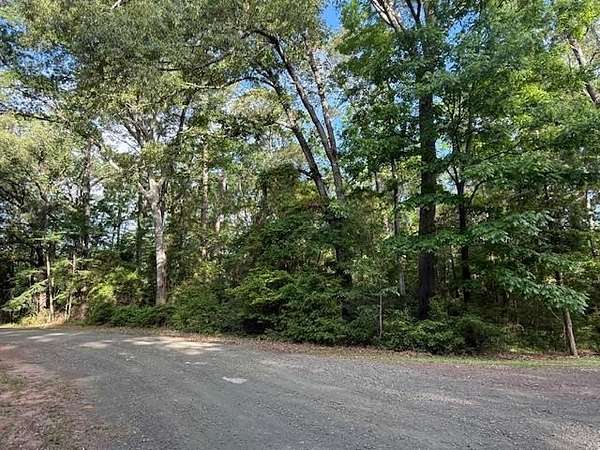 0.28 Acres of Residential Land for Sale in Hemphill, Texas