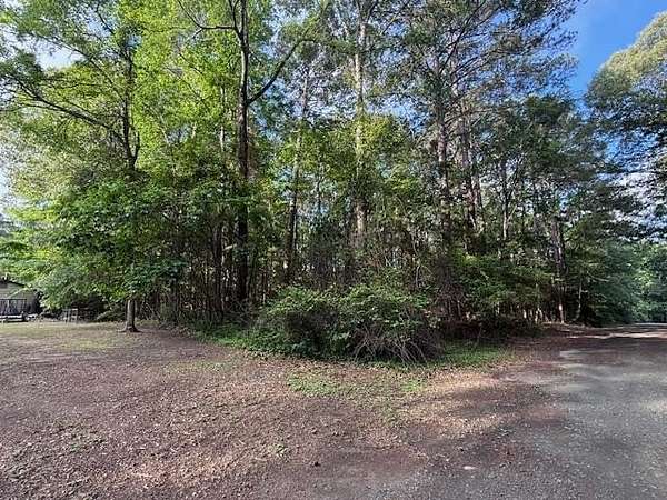 0.28 Acres of Residential Land for Sale in Hemphill, Texas