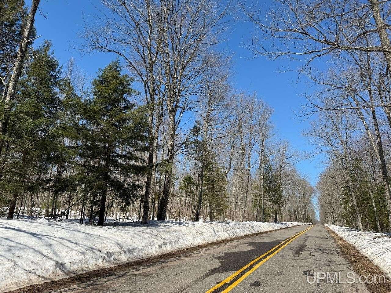 40 Acres of Recreational Land for Sale in Skandia, Michigan