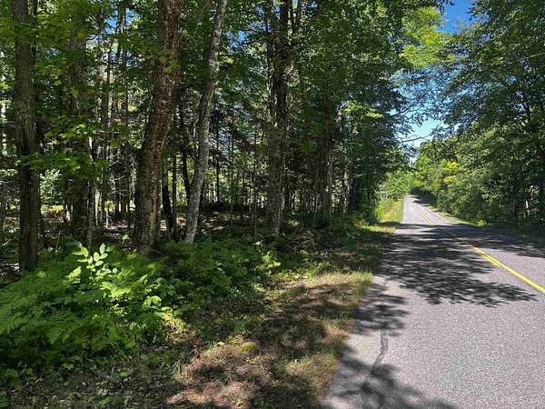 40 Acres of Recreational & Residential Land for Sale in Skandia, Michigan