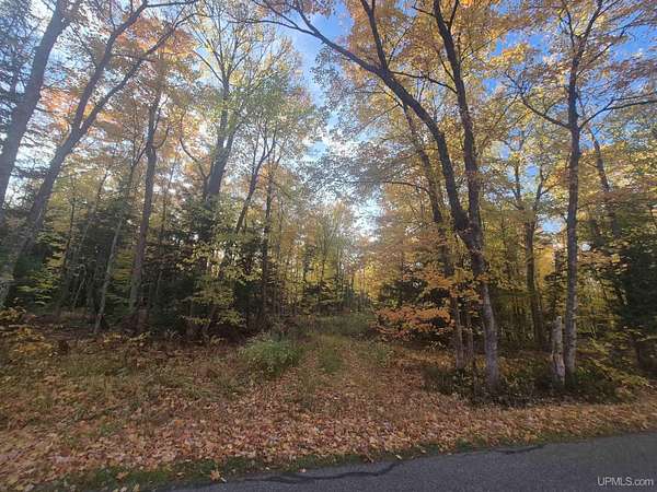 40 Acres of Recreational & Residential Land for Sale in Skandia, Michigan
