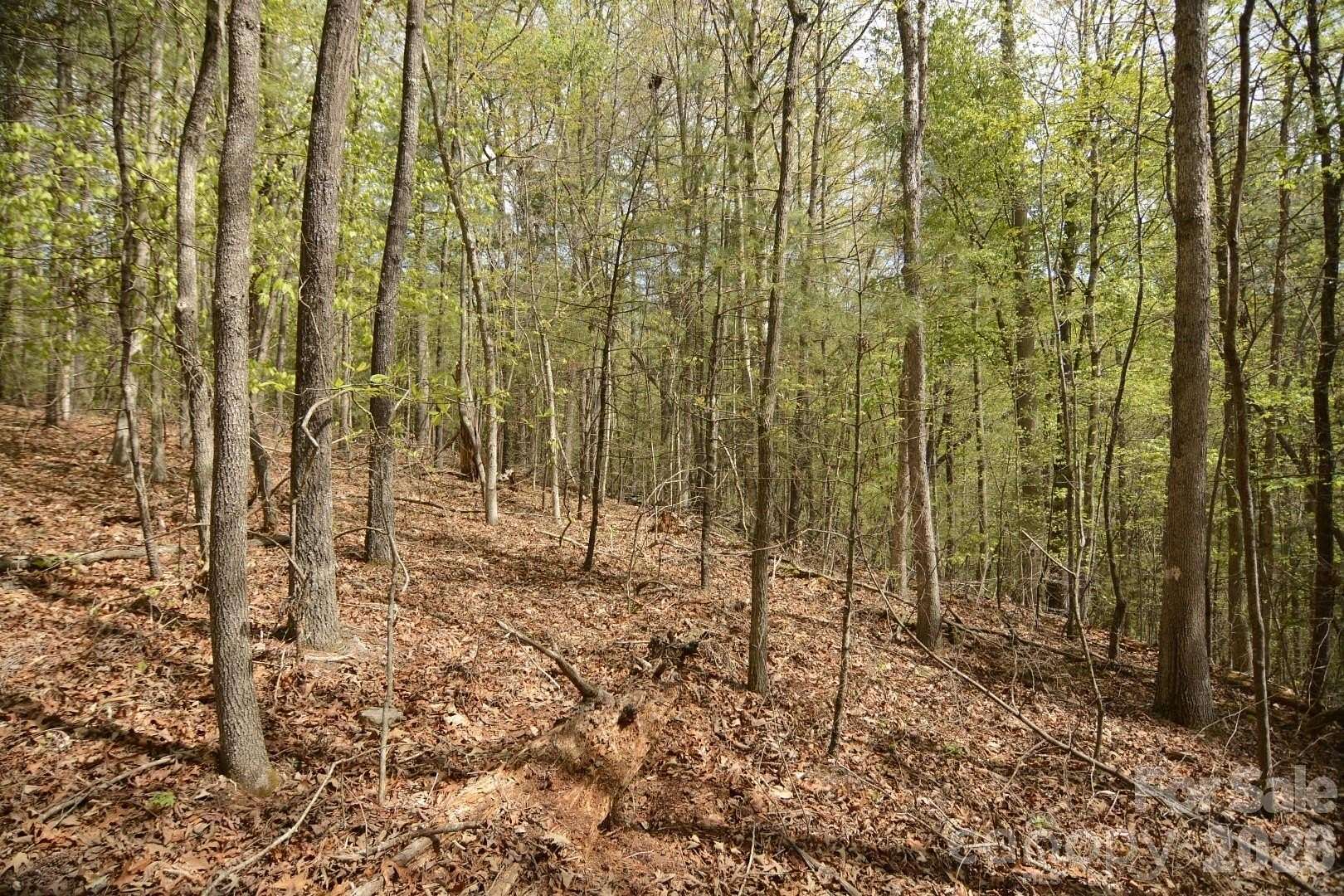 5 Acres of Residential Land for Sale in Leicester, North Carolina