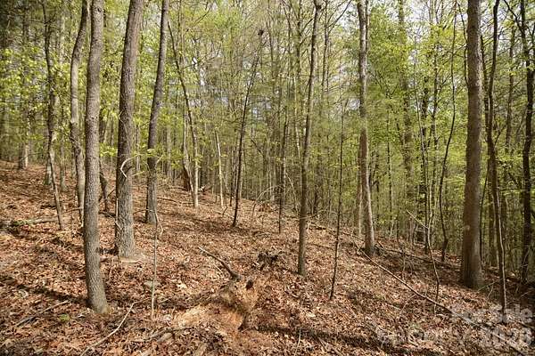 5 Acres of Residential Land for Sale in Leicester, North Carolina