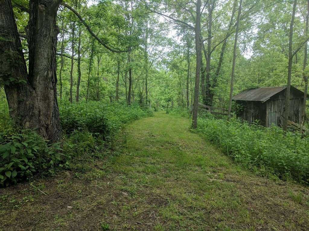 25.6 Acres of Recreational & Residential Land for Sale in Max Meadows, Virginia