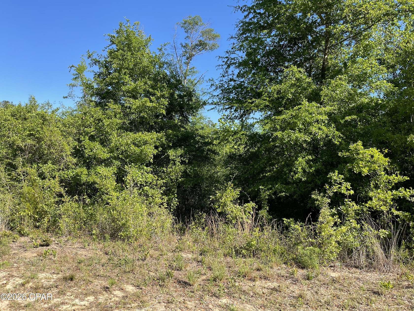 1.3 Acres of Land for Sale in Marianna, Florida