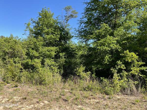 1.3 Acres of Land for Sale in Marianna, Florida