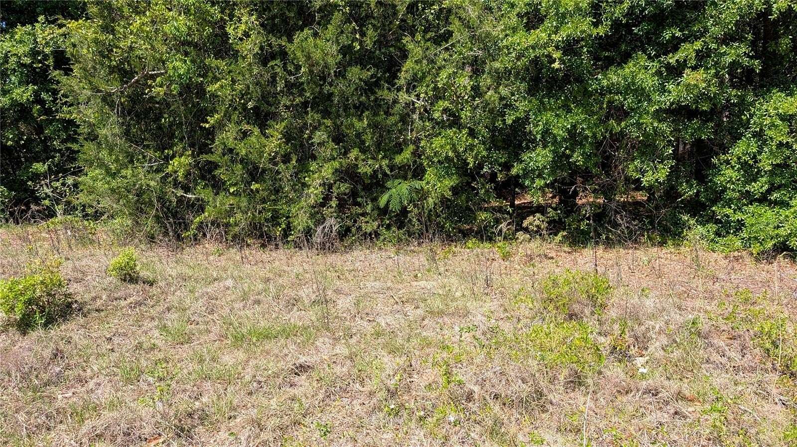 5 Acres of Land for Sale in Trenton, Florida