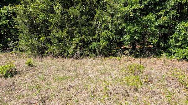 5 Acres of Land for Sale in Trenton, Florida