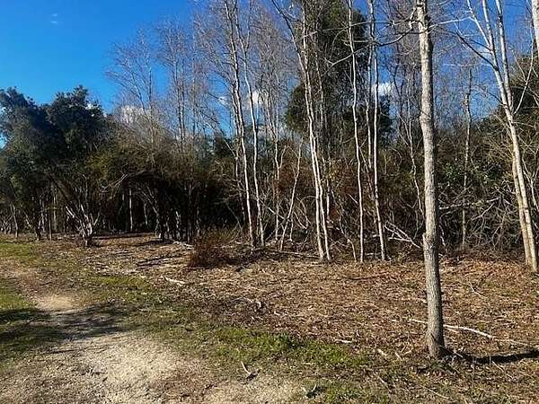 5 Acres of Residential Land for Sale in Theodore, Alabama
