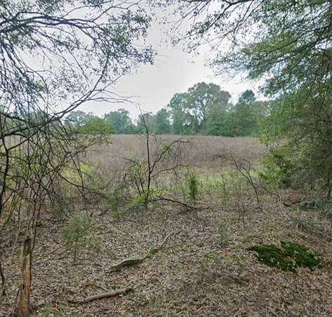 8.1 Acres of Residential Land for Sale in Pittsburg, Texas