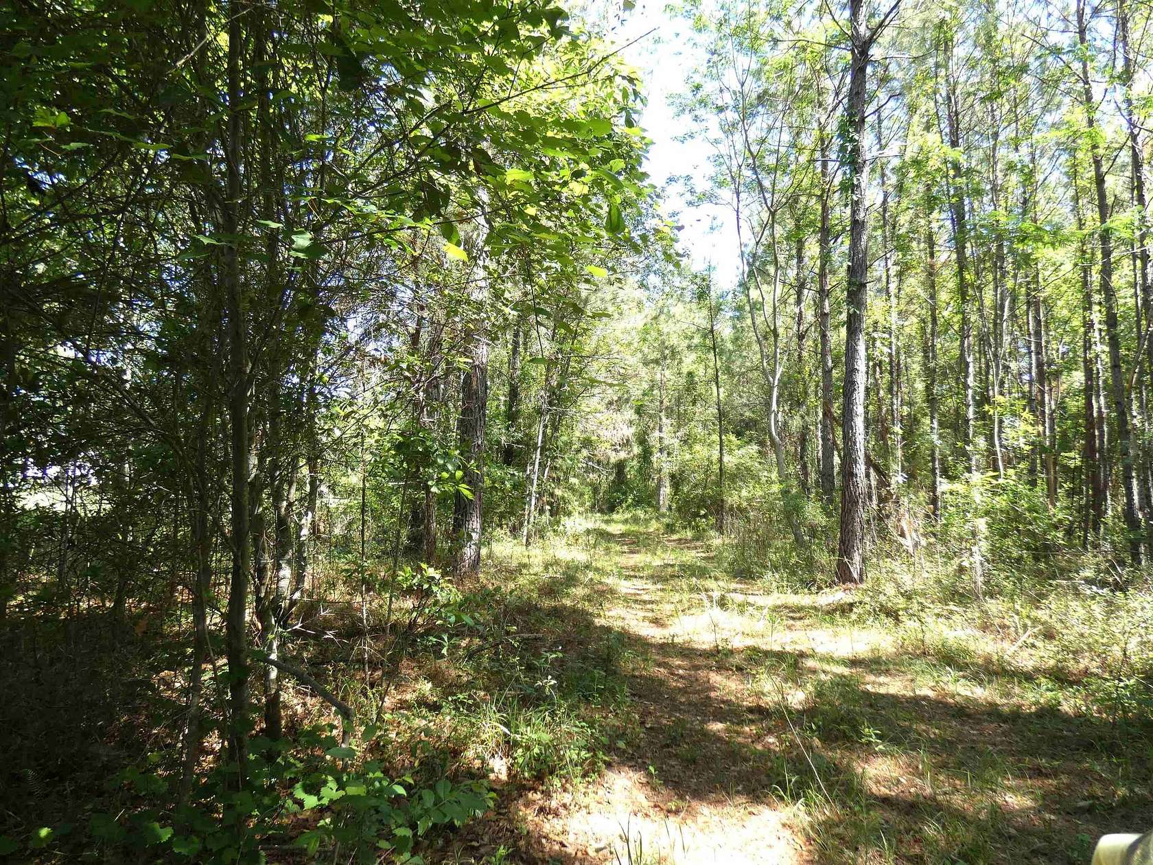 58.5 Acres of Recreational & Residential Land for Sale in Monticello, Florida