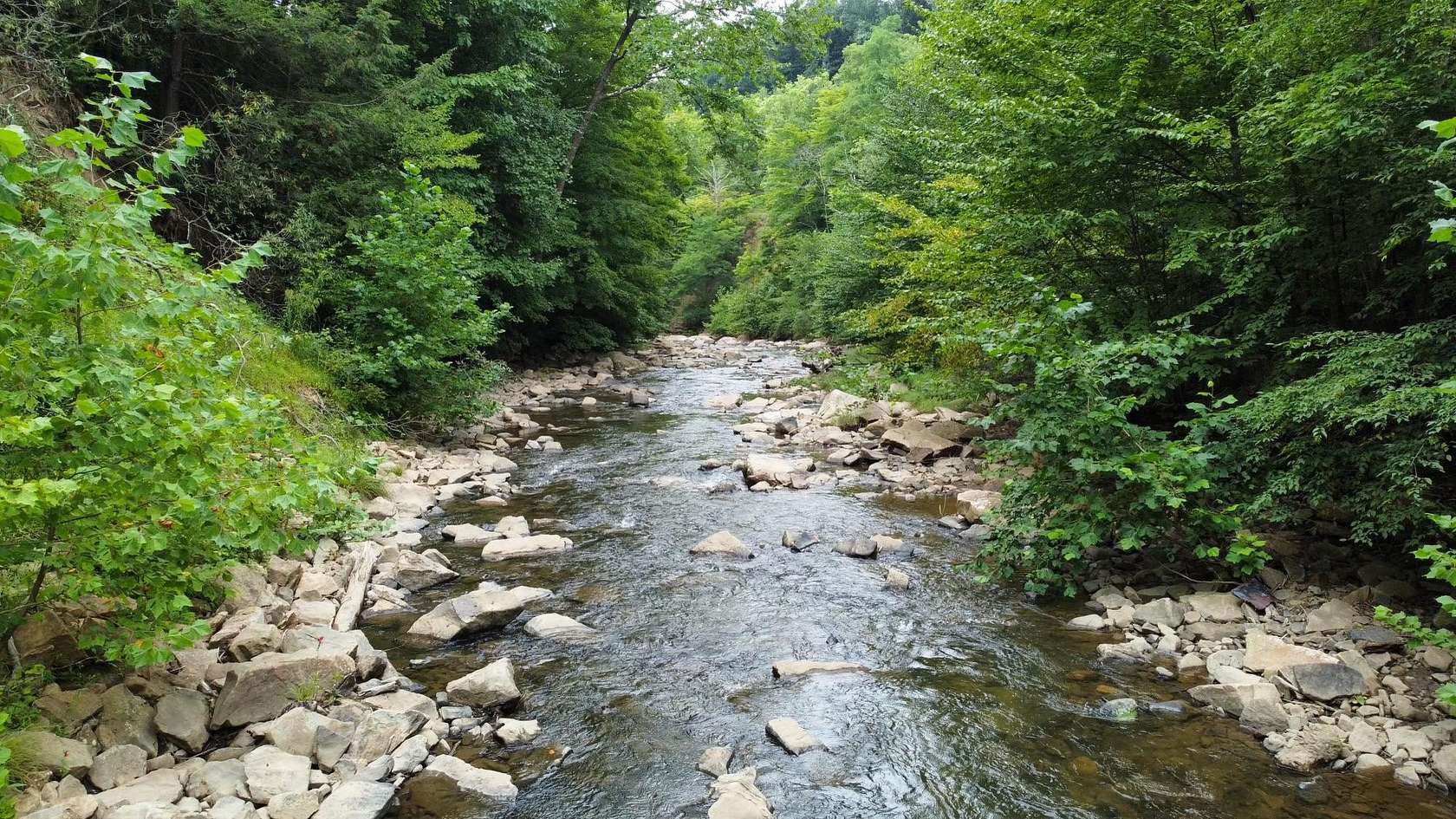 21.1 Acres of Recreational Land for Sale in Elk Garden, West Virginia