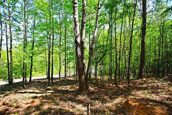 2 Acres of Land for Sale in Seneca, South Carolina