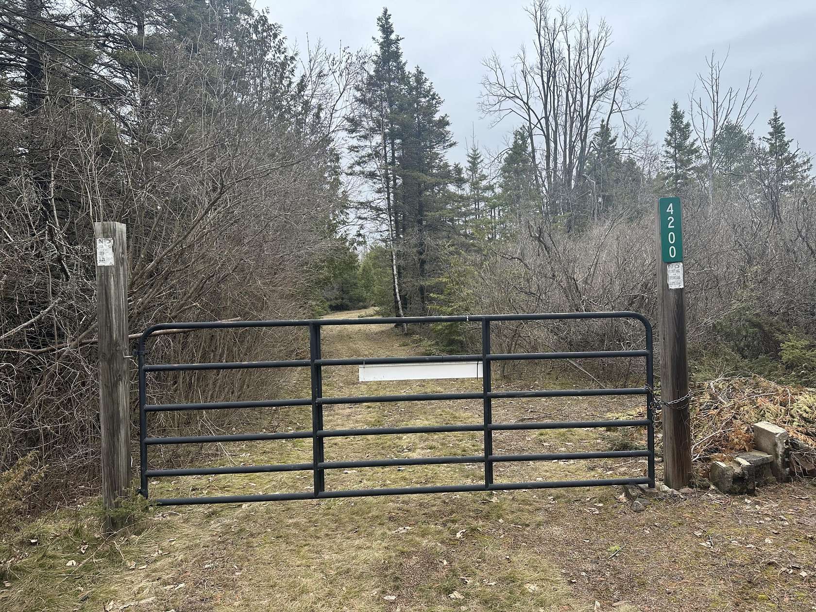 78.5 Acres of Recreational Land for Sale in Alpena, Michigan