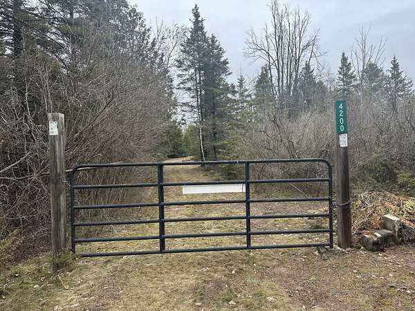 78.5 Acres of Recreational Land for Sale in Alpena, Michigan