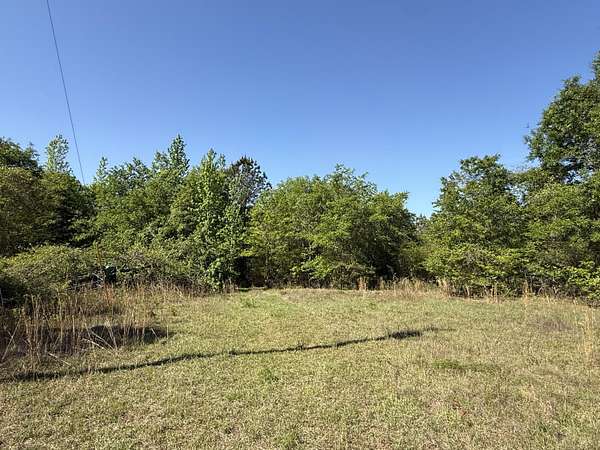 25.3 Acres of Land for Sale in Mitchell, Georgia