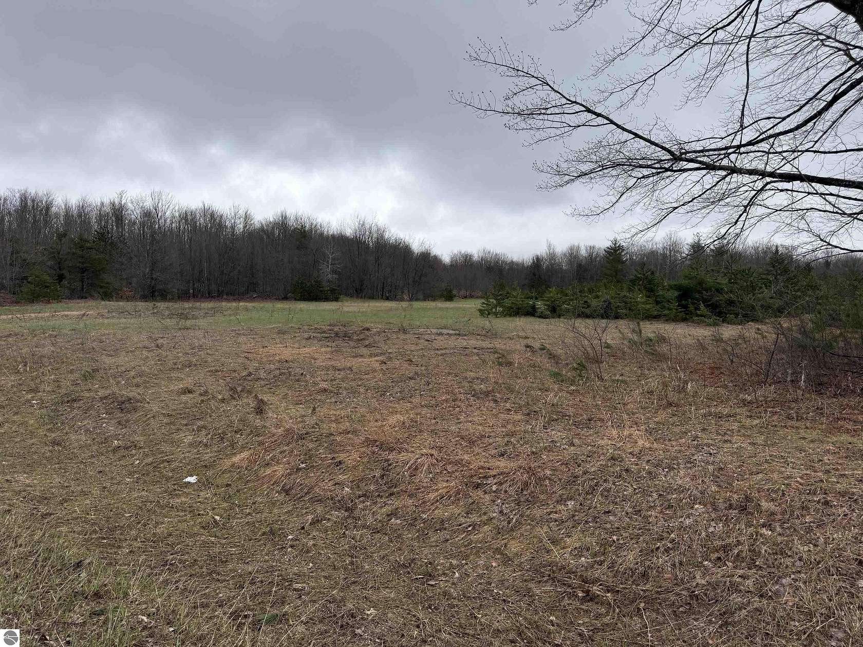 15 Acres of Recreational & Residential Land for Sale in Lake City, Michigan
