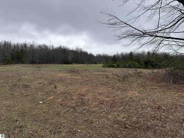 15 Acres of Recreational & Residential Land for Sale in Lake City, Michigan