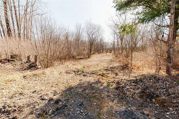 8.4 Acres of Land for Sale in Calcium, New York
