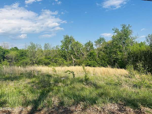 0.34 Acres of Residential Land for Sale in Blaine, Tennessee