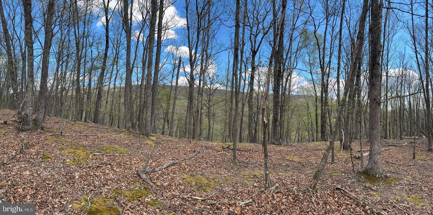 10.3 Acres of Land for Sale in Baker, West Virginia