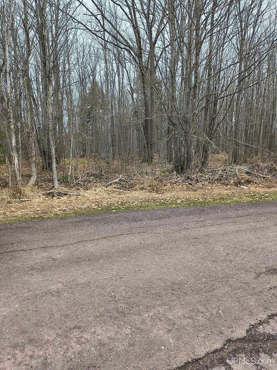 39 Acres of Recreational & Residential Land for Sale in Ontonagon, Michigan