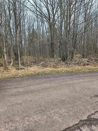 39 Acres of Recreational & Residential Land for Sale in Ontonagon, Michigan