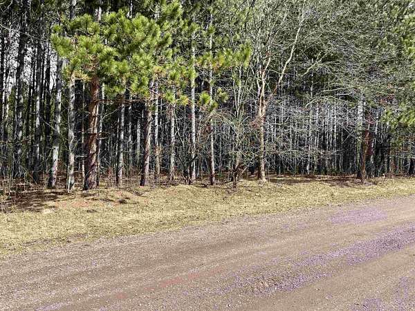 39 Acres of Recreational & Residential Land for Sale in Ontonagon, Michigan