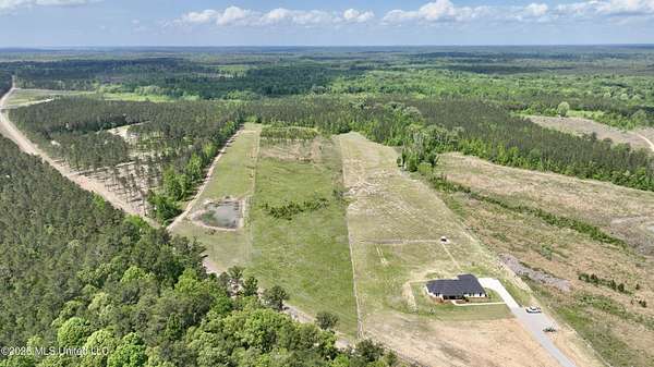 10 Acres of Residential Land for Sale in Lena, Mississippi